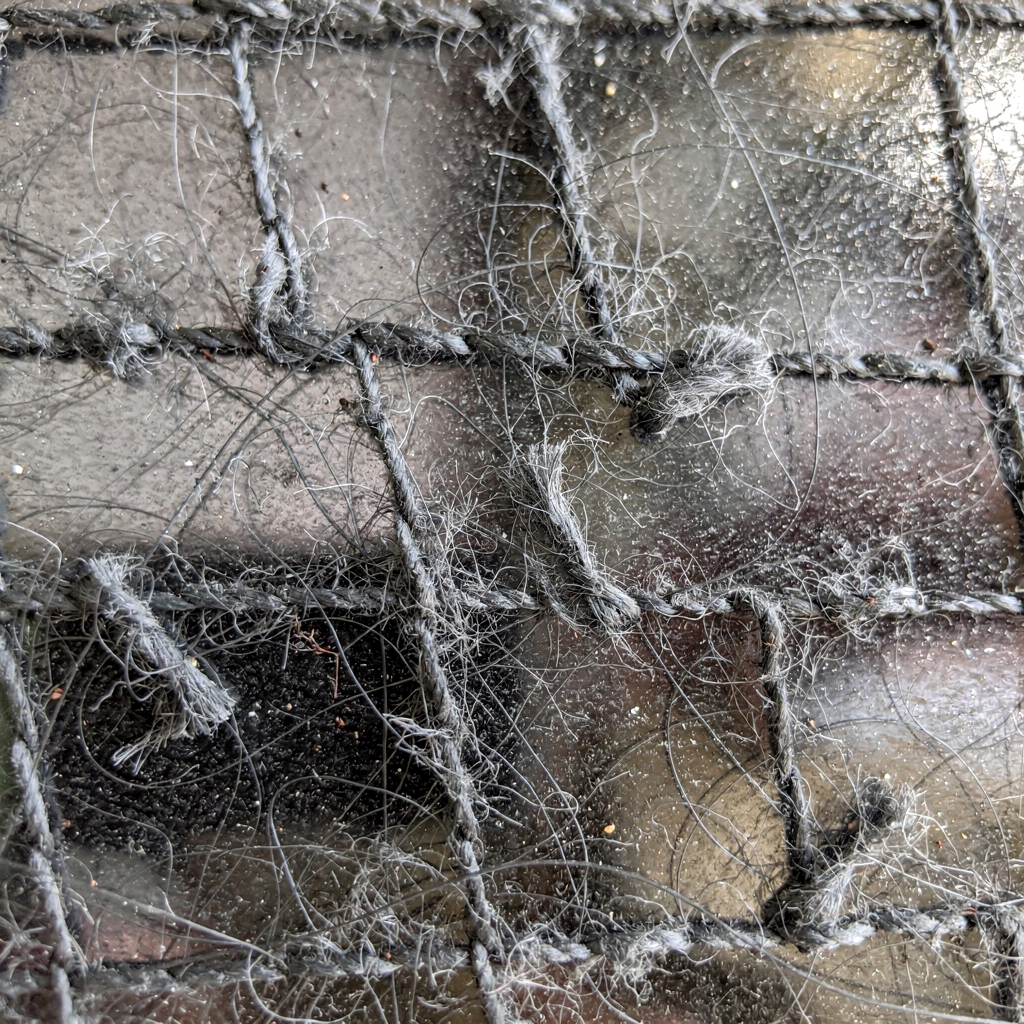 Short descriptive alt text Detailed description of second image (no text or numbers in image)